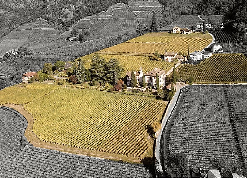 Weingut_Südtirol_Manincor_Überetsch_Kaltern am See_Lage_Lieben Aich