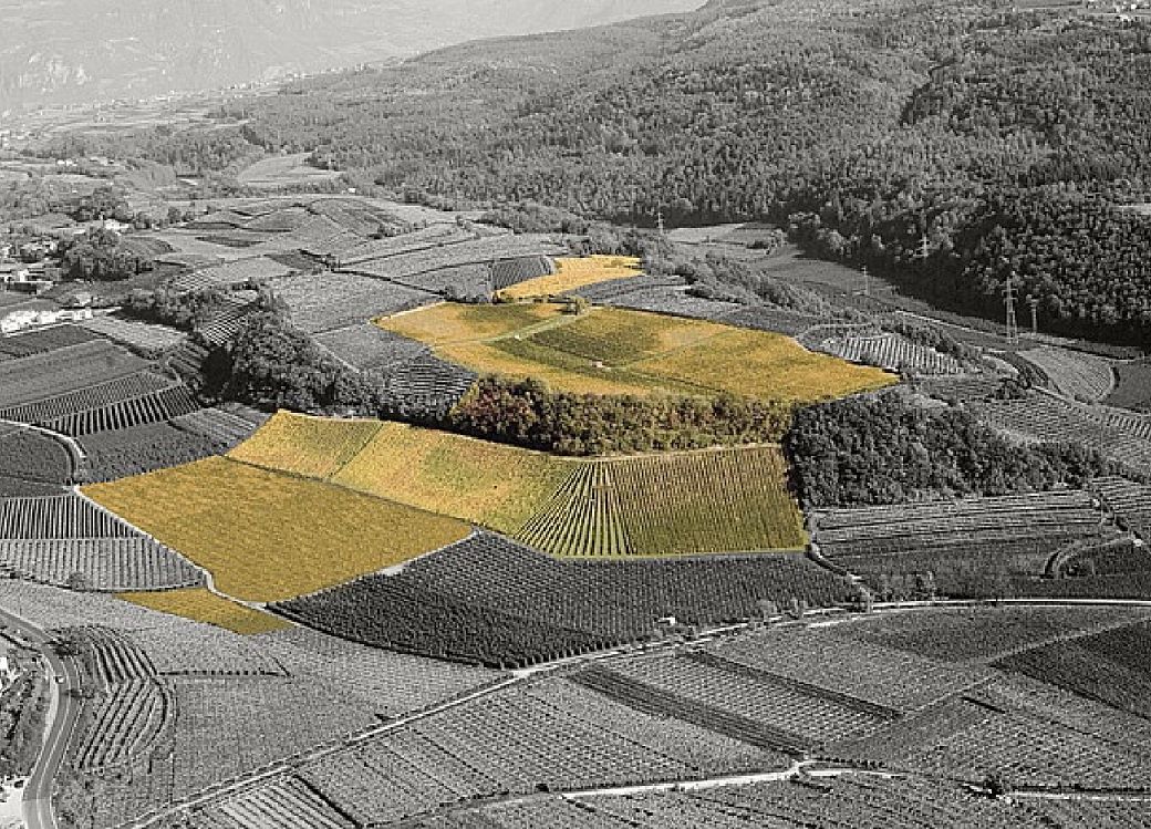 Weingut_Südtirol_Manincor_Überetsch_Kaltern am See_Lage_Kalterer Mazzon