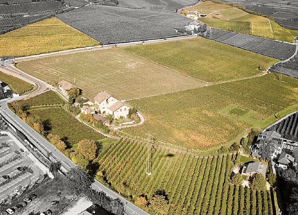 Weingut_Südtirol_Manincor_Überetsch_Kaltern am See_Lage Panholzer_Der Keil