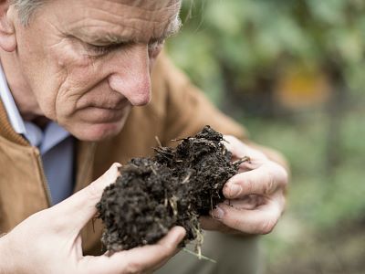 Biodynamie